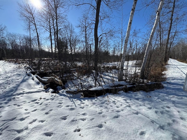 TBD Hook Rd, Alger MI, 48610 land for sale