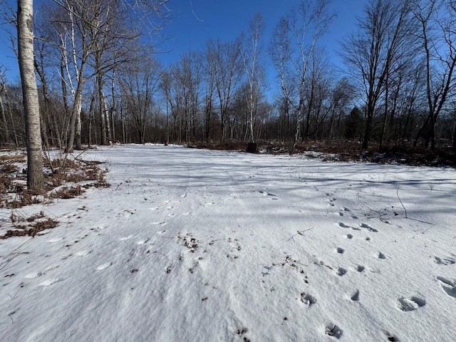 Listing photo 2 for TBD Hook Rd, Alger MI 48610