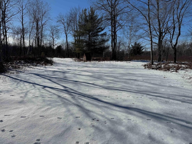 Listing photo 3 for TBD Hook Rd, Alger MI 48610