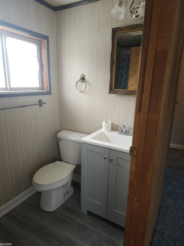 bathroom with vanity, wood-type flooring, and toilet