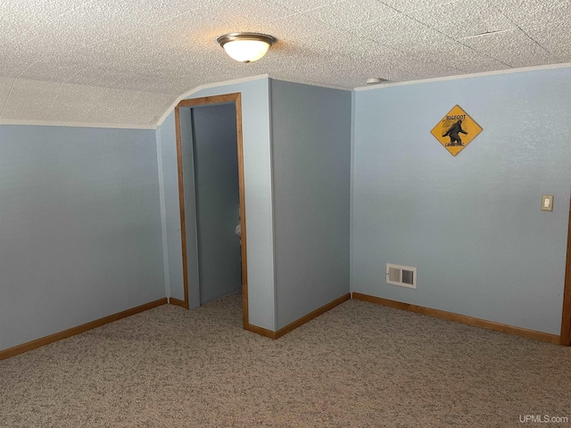 additional living space with lofted ceiling, carpet floors, and a textured ceiling