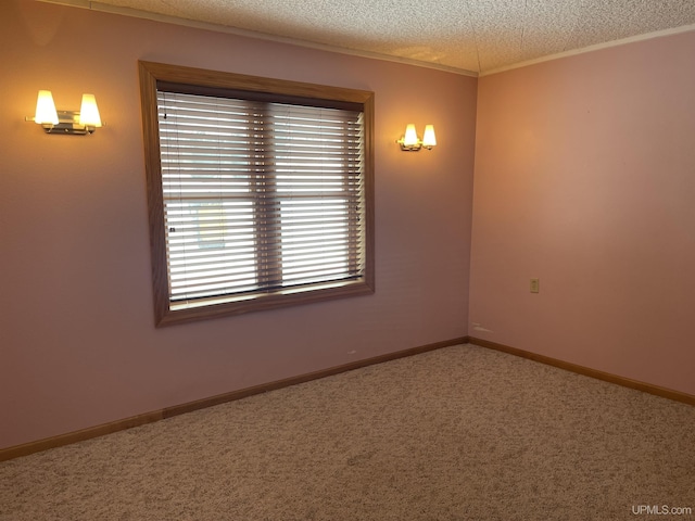 empty room featuring ornamental molding, carpet, and a textured ceiling