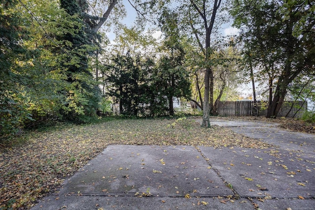 view of yard with a patio area