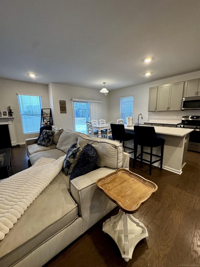 living room with dark hardwood / wood-style flooring and plenty of natural light