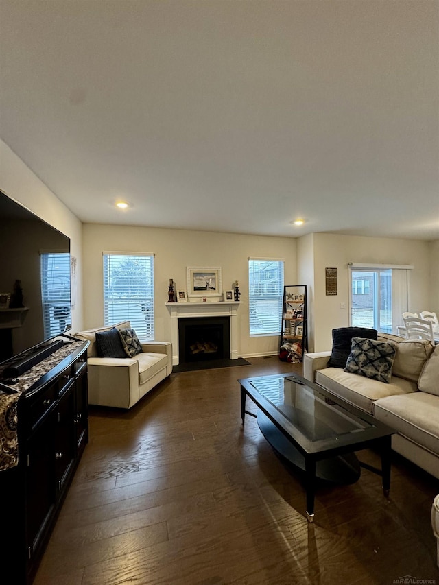 living room with dark wood-type flooring