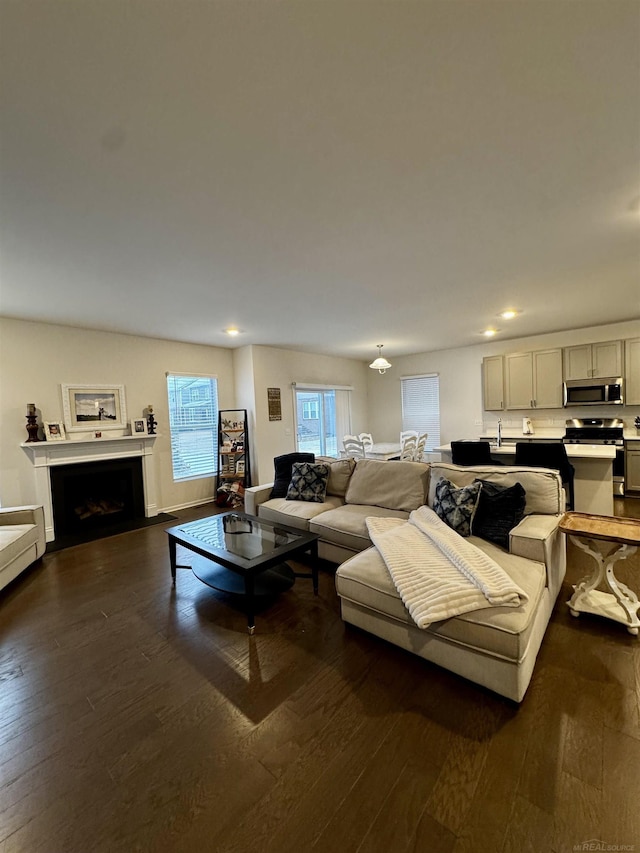 living room with dark wood-type flooring