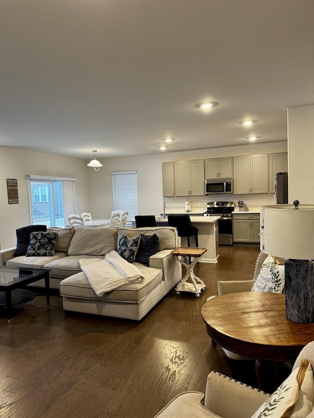 living room featuring dark wood-type flooring