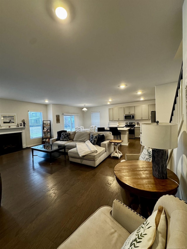 living room with dark wood-type flooring