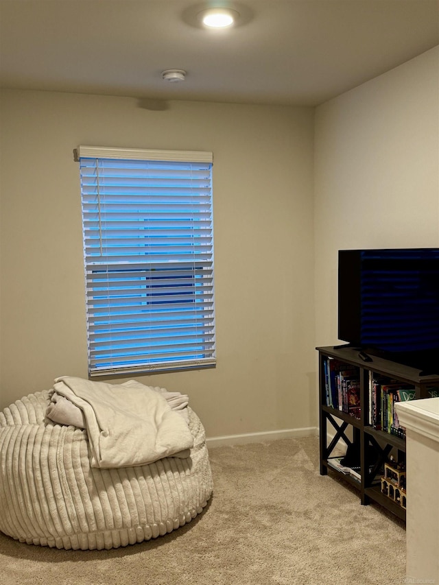 living area featuring carpet flooring