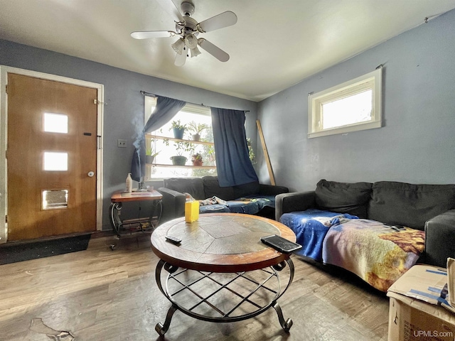 living room with light hardwood / wood-style floors and ceiling fan