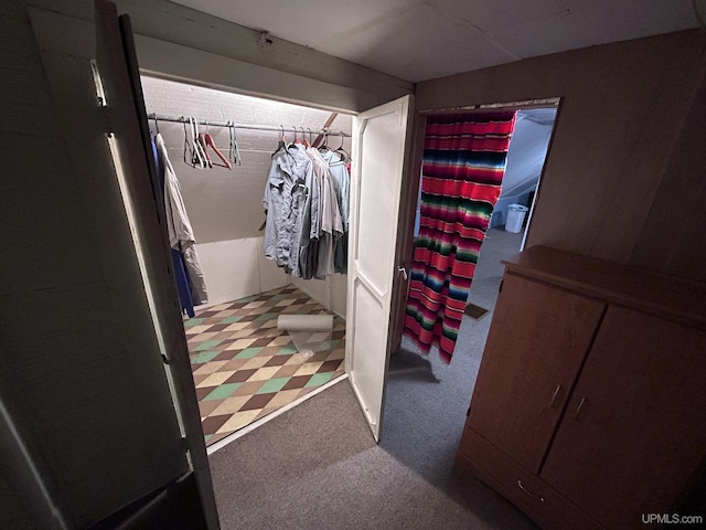 spacious closet featuring carpet floors