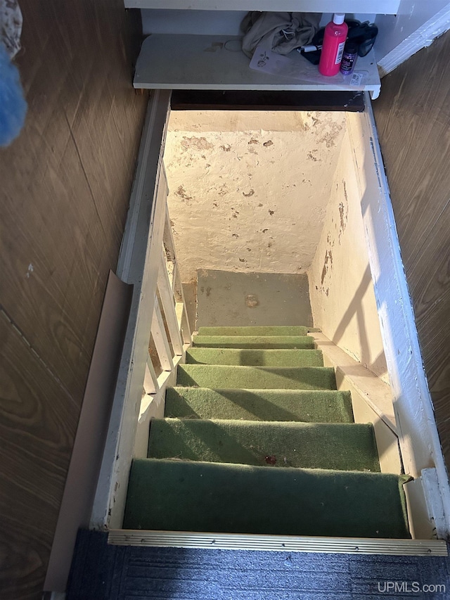 stairway featuring wood-type flooring