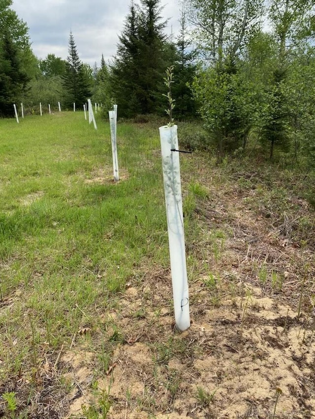 4011 Sandall Rd, Alpena, MI 49707