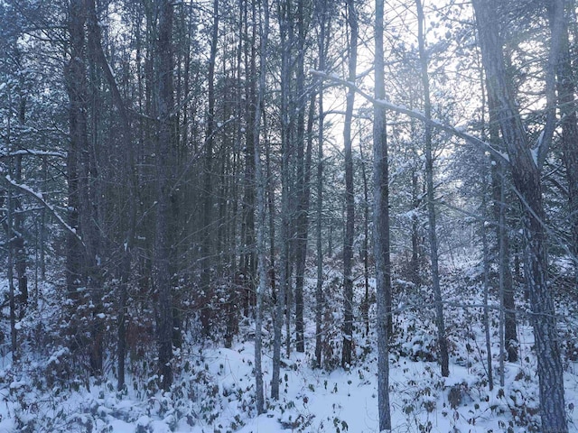 4011 Sandall Rd, Alpena, MI 49707