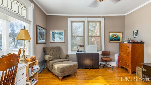 office space with light hardwood / wood-style flooring, ornamental molding, and ceiling fan