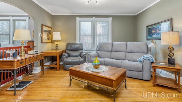 living room featuring crown molding, a wealth of natural light, and light wood-type flooring