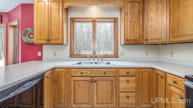 kitchen with sink and black dishwasher