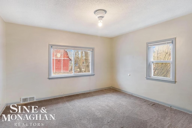 unfurnished room with carpet and a textured ceiling