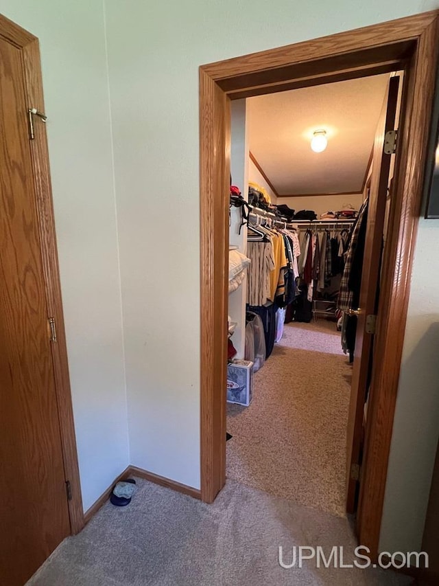 walk in closet with carpet