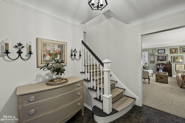 stairs with crown molding and carpet