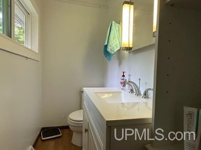 bathroom featuring vanity, hardwood / wood-style floors, and toilet