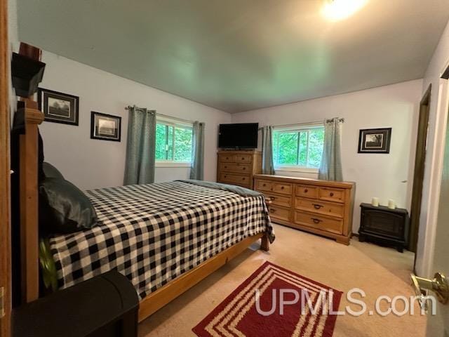 carpeted bedroom featuring multiple windows