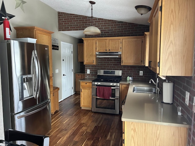 kitchen with lofted ceiling, dark wood-style flooring, stainless steel appliances, under cabinet range hood, and a sink