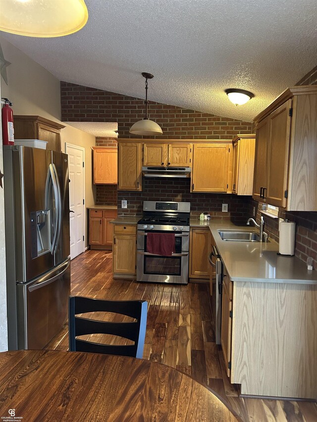 kitchen featuring under cabinet range hood, vaulted ceiling, stainless steel appliances, and a sink