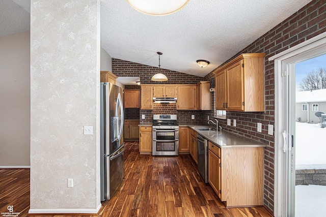 kitchen featuring under cabinet range hood, vaulted ceiling, light countertops, appliances with stainless steel finishes, and pendant lighting