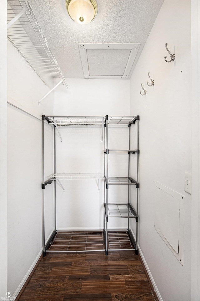 walk in closet with dark wood finished floors