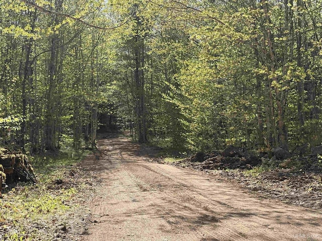 102/-ACRES Peter White Rd, Deerton, MI 49822