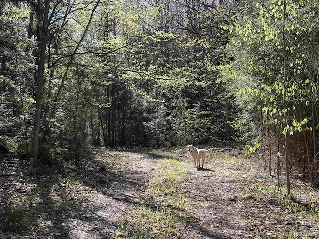 102/-ACRES Peter White Rd, Deerton, MI 49822