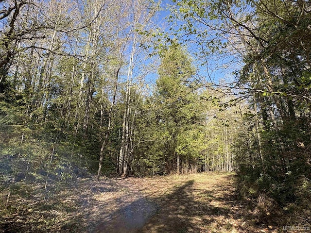 102/-ACRES Peter White Rd, Deerton, MI 49822