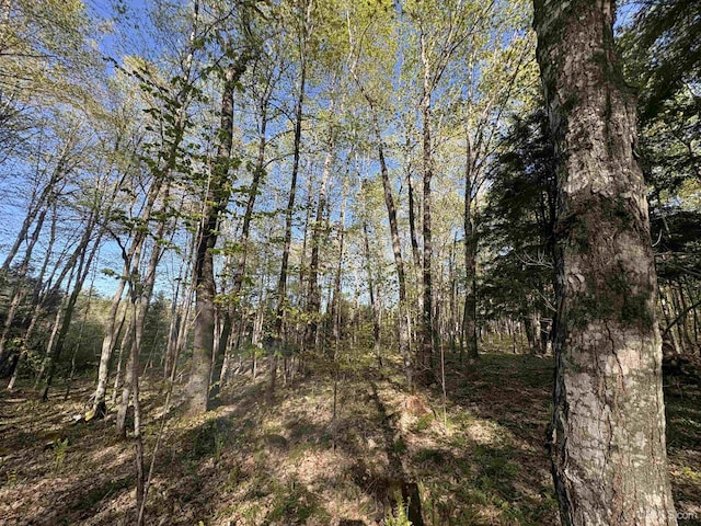 102/-ACRES Peter White Rd, Deerton, MI 49822