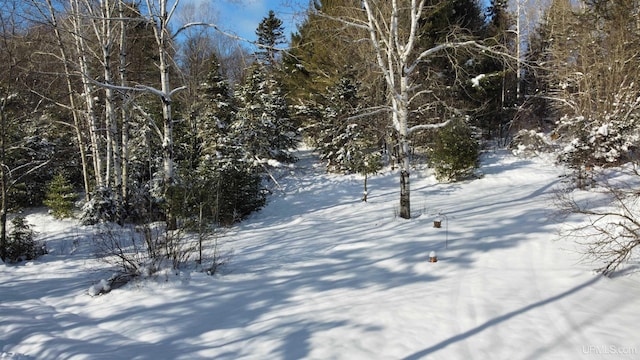 view of yard layered in snow