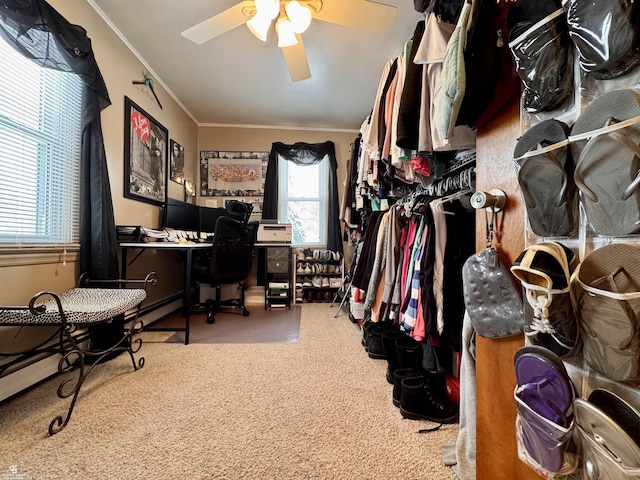 interior space with crown molding, ceiling fan, and a baseboard radiator