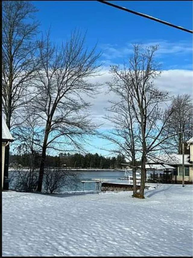 view of yard layered in snow