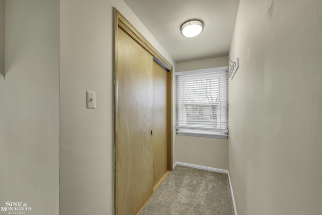 hallway featuring carpet flooring