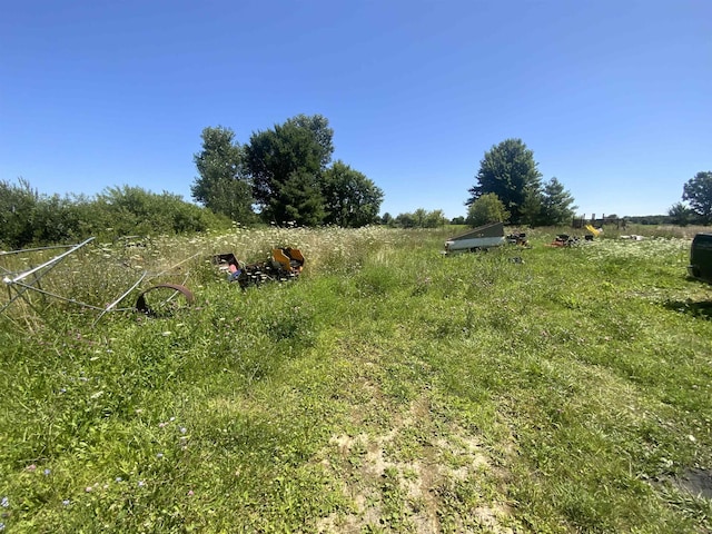 view of yard featuring a rural view