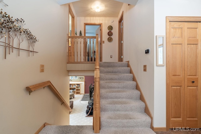 staircase featuring carpet