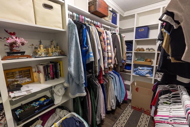 spacious closet with dark hardwood / wood-style floors