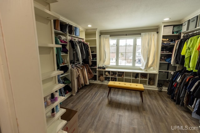 spacious closet with dark wood-type flooring