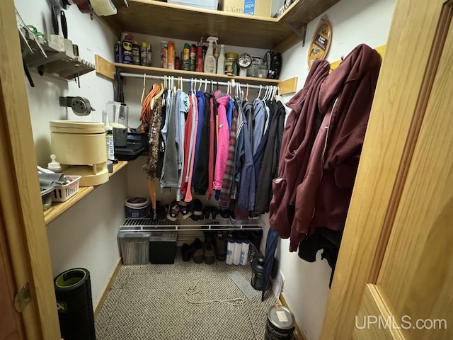 view of spacious closet