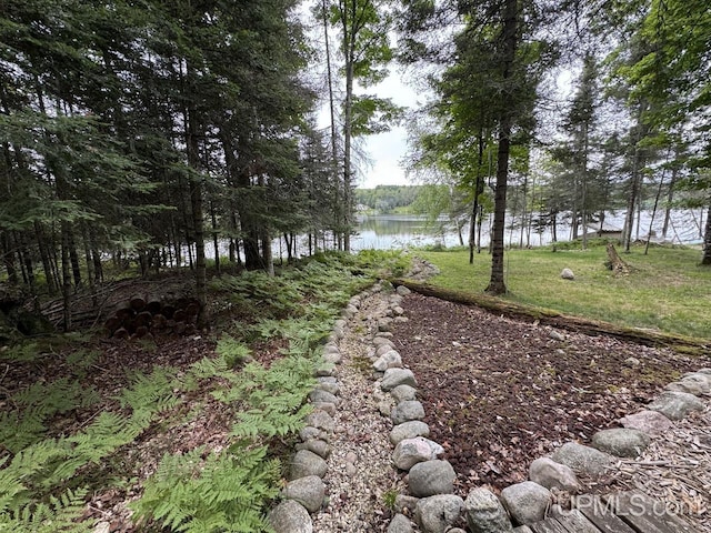 view of yard with a water view