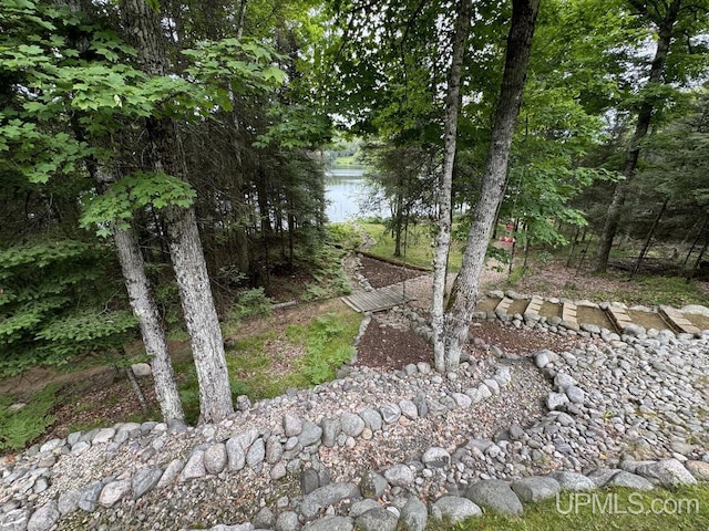 view of local wilderness featuring a water view