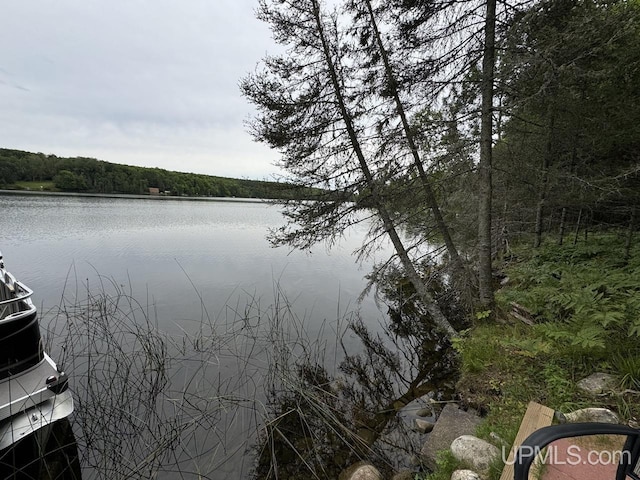 view of water feature