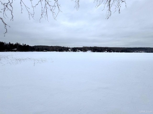 view of yard covered in snow