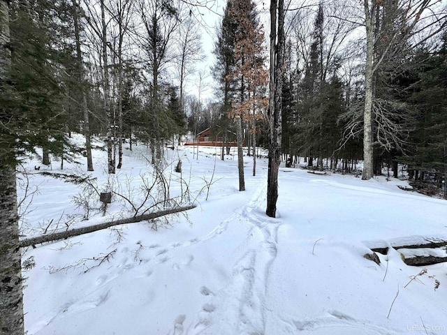 view of snowy yard