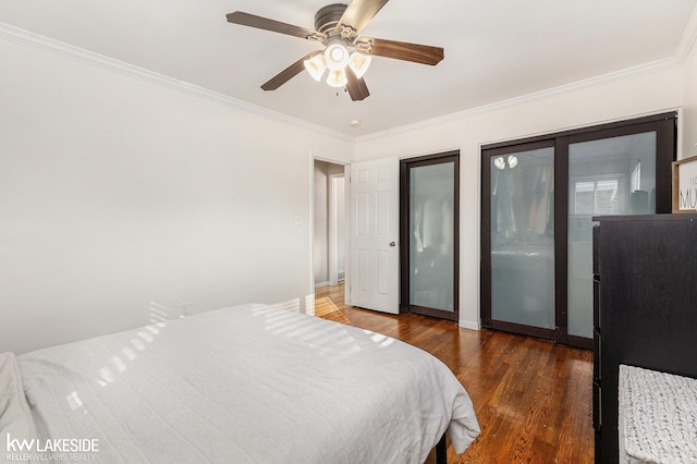 bedroom featuring crown molding, dark hardwood / wood-style floors, two closets, and ceiling fan