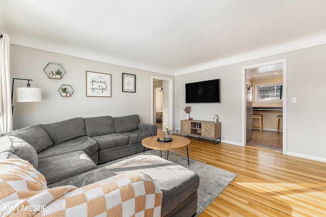 living room with wood-type flooring